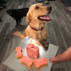 Meet your Posher, Jacob